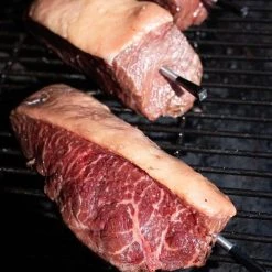 Traeger Canada BBQ Accessories MEATER Plus Wireless Remote Thermometer - RT1-MT-MP01 Probe