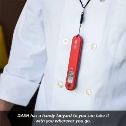 ThermoWorks DASH Thermometer