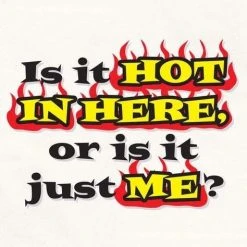 Best deal โ BBQ Accessories LA Imprints Attitude Apron - Is It Hot In Here ๐ 7 BBQ Accessories LA Imprints Attitude Apron - Is It Hot In Here